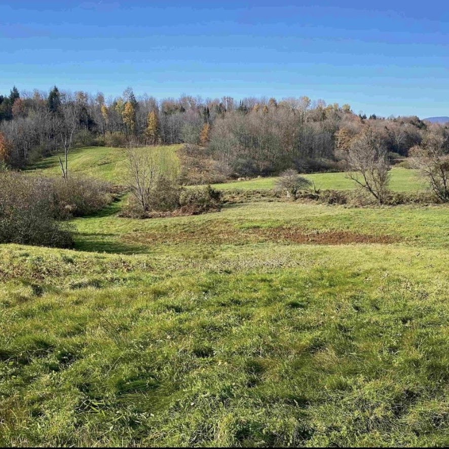 Rolling open flats and treeline on the property in autumn